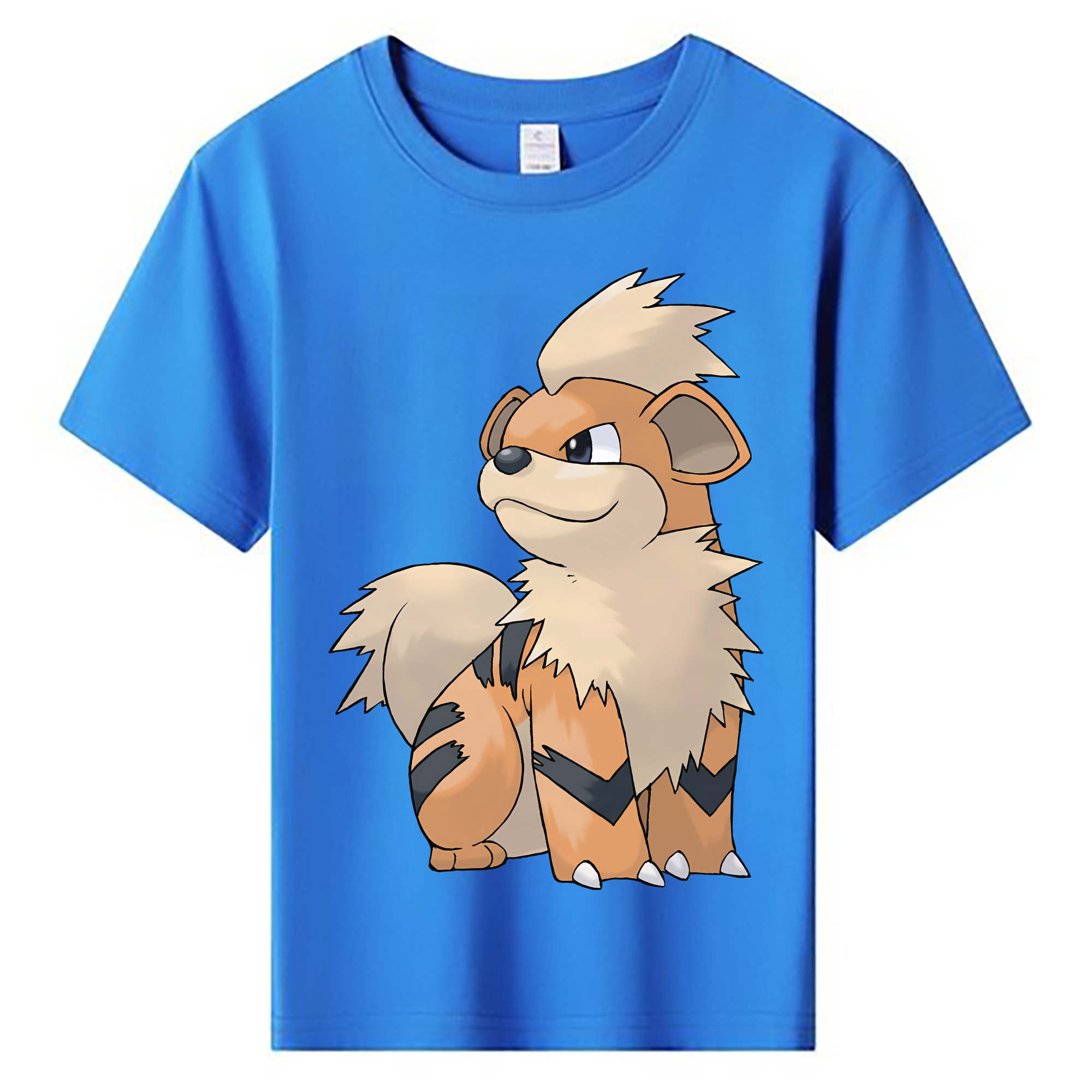 （画像用） ポケットモンスター Pokémon 綿100％キッズTシャツ（フロントプリント）